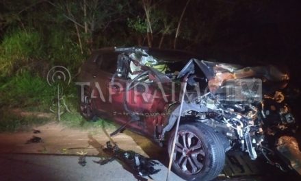 Homem morre em acidente envolvendo veículo com placas de Formiga na BR-262