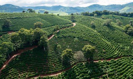 Exportações do agro mineiro alcançam US$ 1,8 bilhão no primeiro bimestre do ano