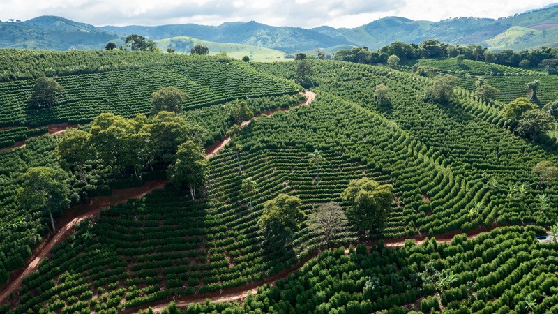 Exportações do agro mineiro alcançam US$ 1,8 bilhão no primeiro bimestre do ano