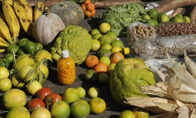 Moradores do campo também são afetados pela fome no Brasil