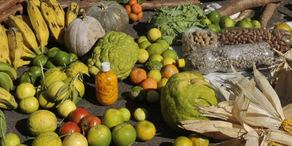 Moradores do campo também são afetados pela fome no Brasil