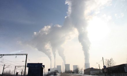 A nova aposta de cientistas para capturar CO2 da atmosfera e reduzir aquecimento global