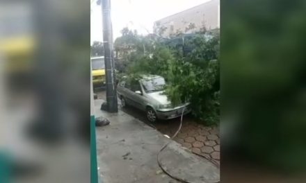 Chuva em Piumhi: árvore cai em cima de carro estacionado e bloqueia rua