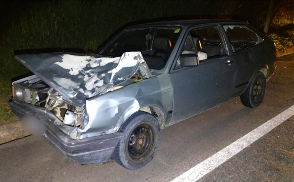 Veículo com placas de Formiga atropela animal na MG-050