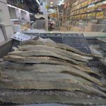 Preço médio do bacalhau aumenta 13,15% em Belo Horizonte