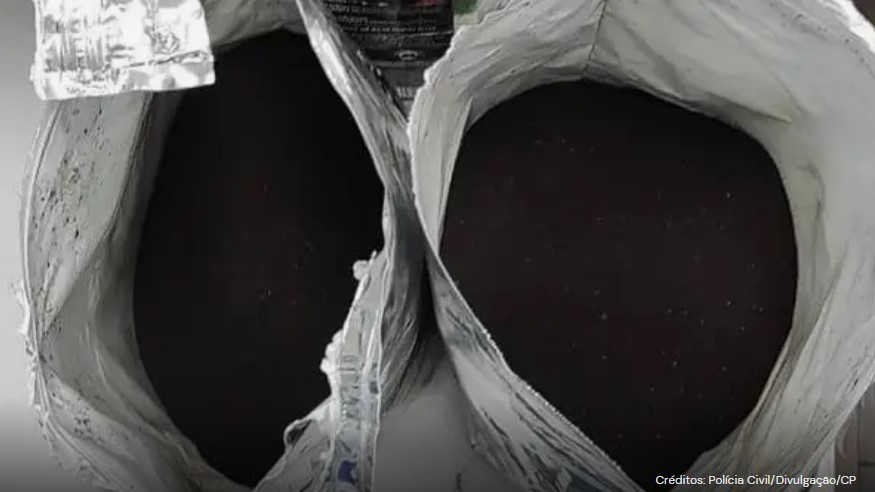 ‘Cocaína preta’: perito da Polícia Civil detalha droga que escapa até de cães farejadores 