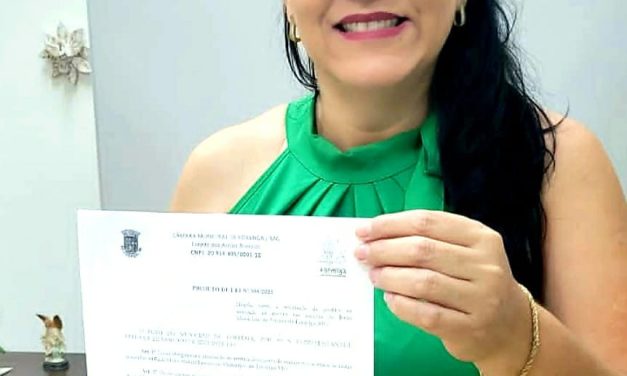 Vereadora propõe instalação de detector de metais em escolas municipais de Formiga