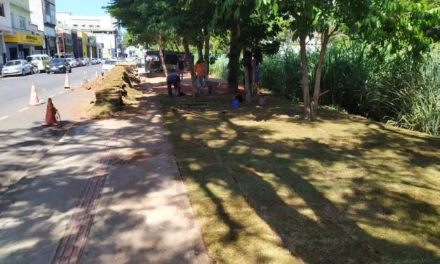 Gestão Ambiental realiza intervenção às margens do Rio Formiga