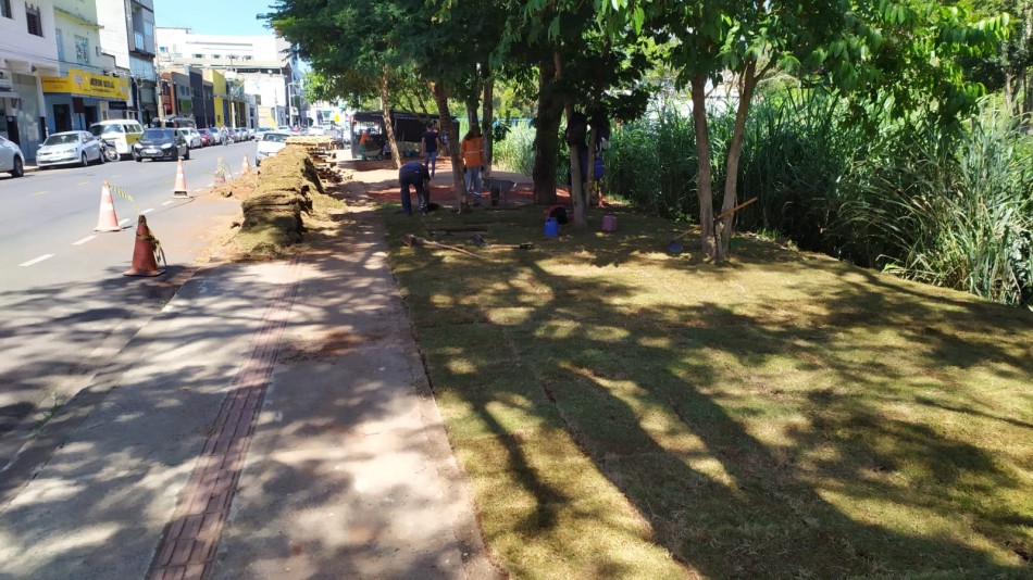 Gestão Ambiental realiza intervenção às margens do Rio Formiga