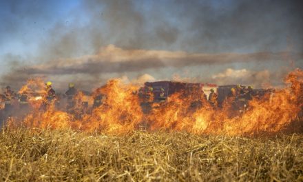 Governo declara emergência ambiental em várias regiões por risco de incêndios florestais