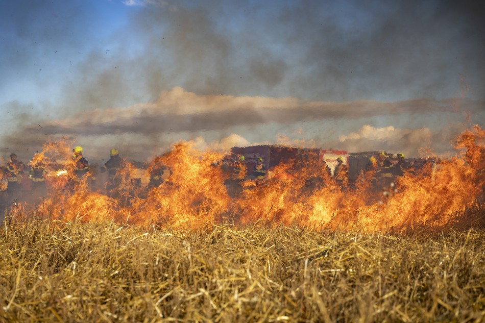 Governo declara emergência ambiental em várias regiões por risco de incêndios florestais