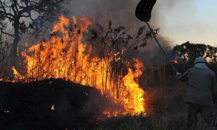 Corpo de Bombeiros divulga campanha de prevenção de incêndios florestais