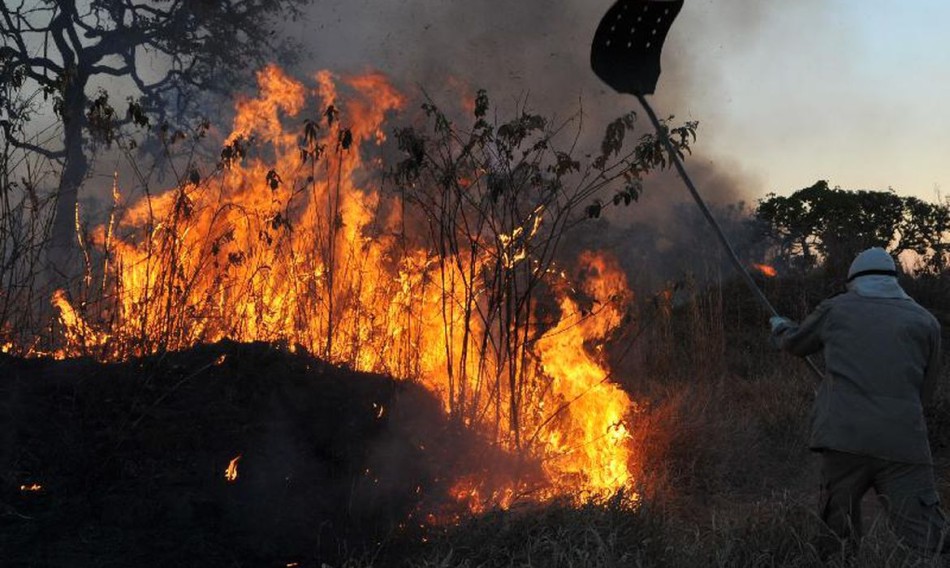 Amazônia concentra 90% da área com focos de incêndio no 1º bimestre