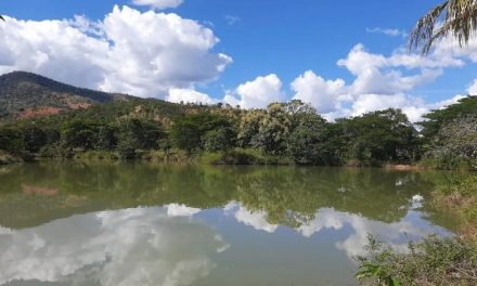 Corpo de mulher é encontrado em lagoa com peso amarrado à cintura