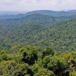 Ministro norueguês diz que Brasil voltou a ser liderança ambiental