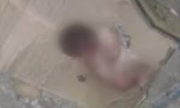 Bebê é encontrado em caixa de papelão, ainda com cordão umbilical