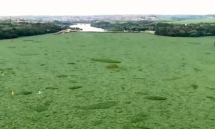 Poluição deixa o rio Tietê verde