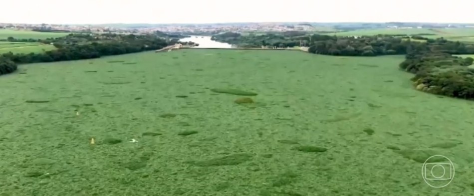 Poluição deixa o rio Tietê verde