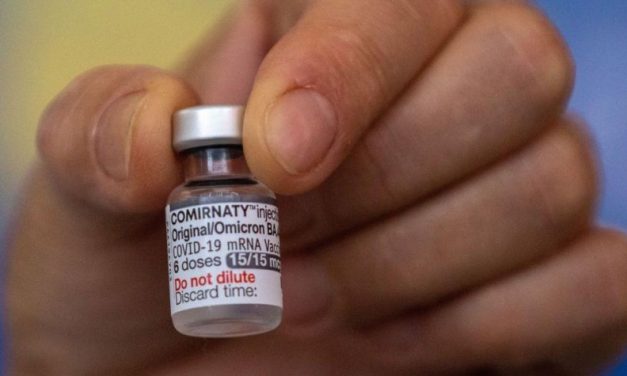 Anvisa atesta segurança da vacina bivalente; validade do imunizante foi ampliada de 12 para 18 meses