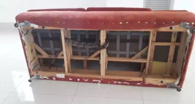Jiboia entra em sofá e assusta mineiros