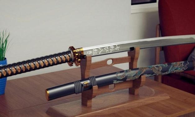 Adolescente é apreendido após ameaçar professores, colega e a própria mãe com espada katana