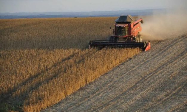 Governo anuncia a liberação de mais recursos para a contratação de seguro rural