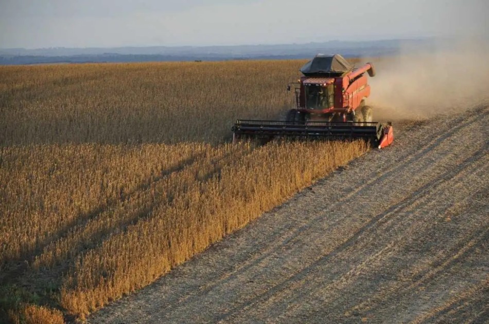 Projeto que barra soja no Pantanal em Mato Grosso do Sul é arquivado