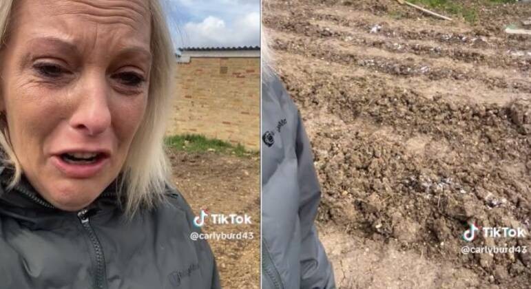 Vândalos destroem plantação e salgam solo de cultivo usado para alimentar necessitados