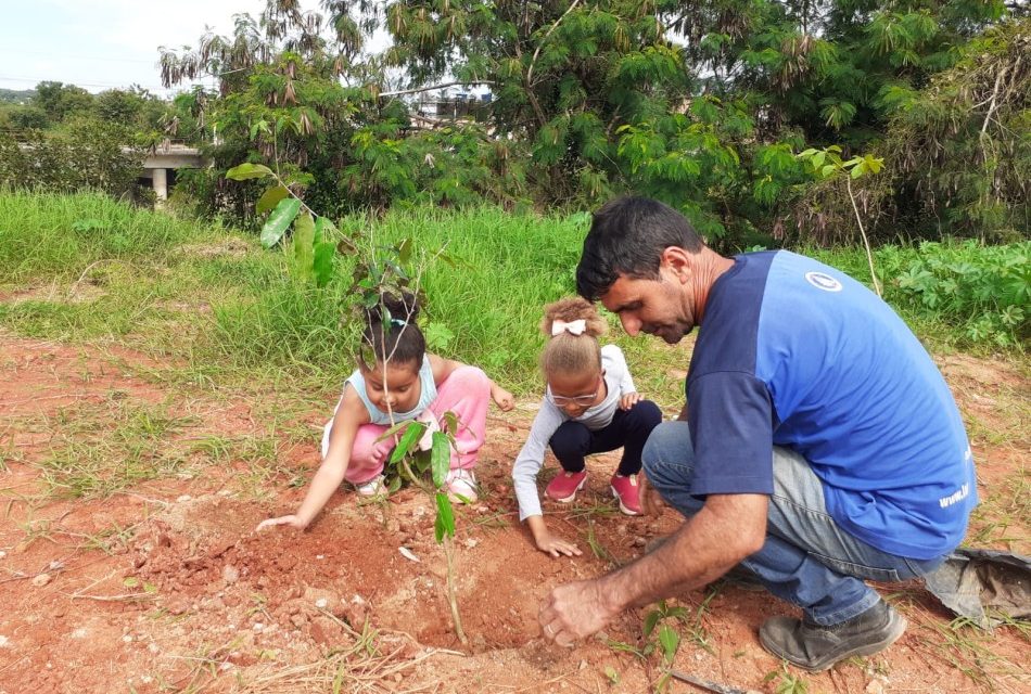 Realizado primeiro plantio de árvores nativas no Vale dos Ipês