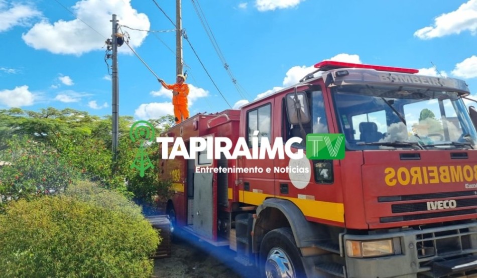 Bombeiros resgatam tamanduá pendurando em padrão de energia elétrica