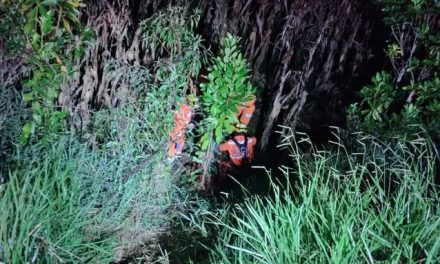 Carro conduzido por idoso de 92 anos cai em barranco de 6 metros após acidente