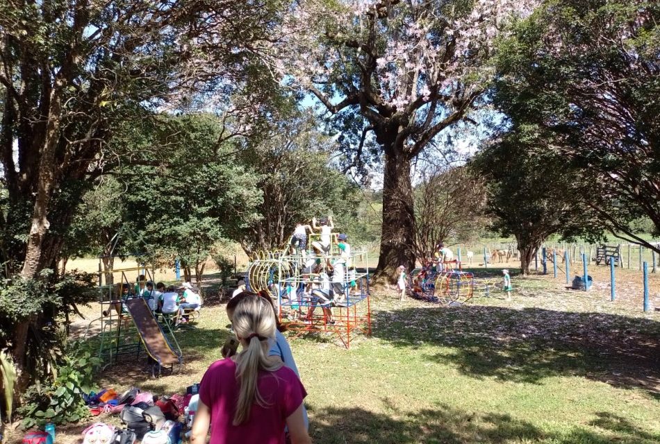 Alunos de escola infantil visitam a fazenda do Unifor-MG