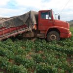 Caminhão que transportava soja se envolve em acidente entre Piumhi e São Roque de Minas