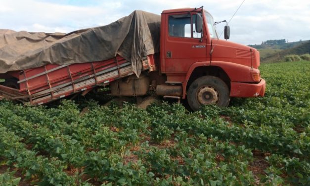 Caminhão que transportava soja se envolve em acidente entre Piumhi e São Roque de Minas
