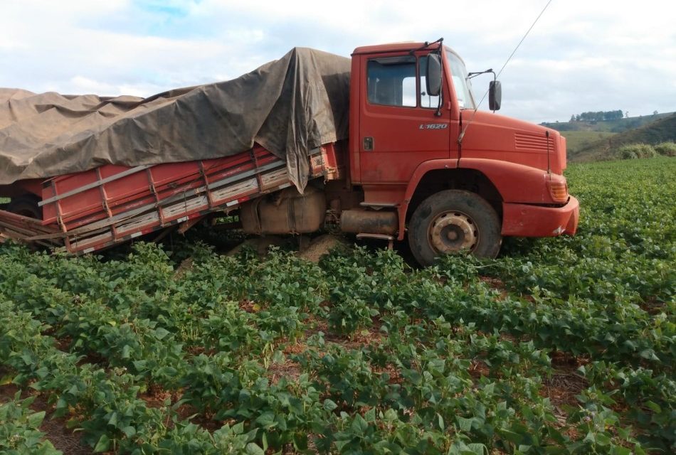 Caminhão que transportava soja se envolve em acidente entre Piumhi e São Roque de Minas