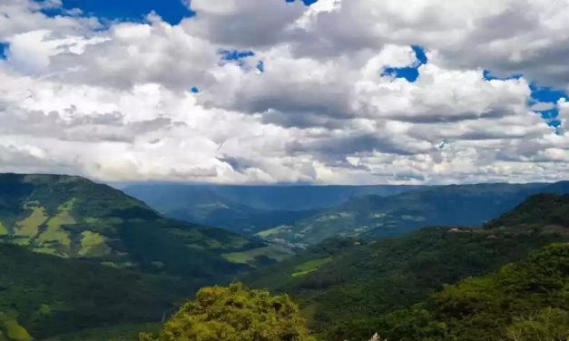 Tecnologia impulsiona combate aos crimes ambientais em Minas Gerais