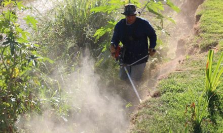 Formiga: Servidores da Gestão Ambiental realizam capina em diversas regiões