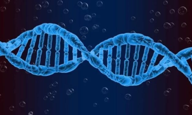 O lado sombrio do DNA: conheça os genes ocultos que podem mudar a medicina