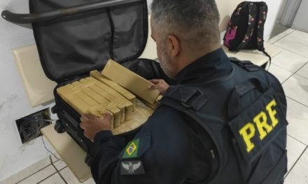 Cães farejadores encontram 19,5 quilos de maconha dentro de mala em ônibus