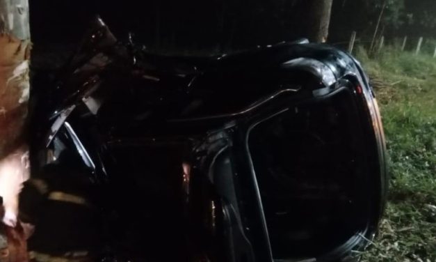 Jovem de 22 anos morre após carro capotar e bater em árvore na rodovia BR-265