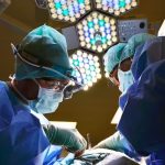 Pulmão de porco geneticamente modificado é transplantado em paciente com morte cerebral