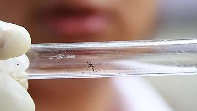 Minas registra quase 20 mil casos de dengue e chikungunya em apenas uma semana