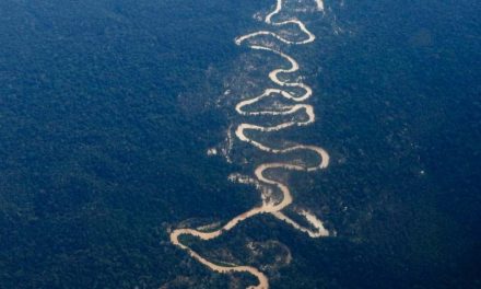 Quatro garimpeiros morrem após ação da PRF na Terra Indígena Yanomami