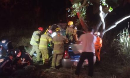 Criança fica presa às ferragens após carro sair da pista e bater em árvore em MG