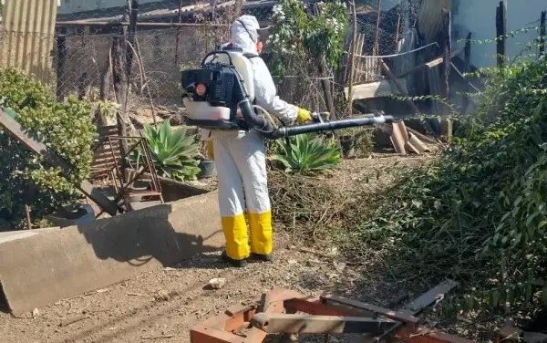 LIRAa aponta redução de índice de infestação da dengue em Formiga
