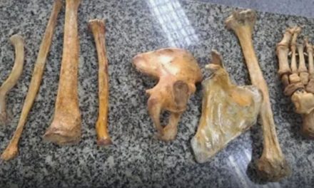 Homem é preso por vender ossos humanos em barraca de rua