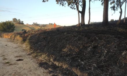 Mulher é presa após colocar fogo em pastagem na comunidade rural de Papagaios, em Formiga