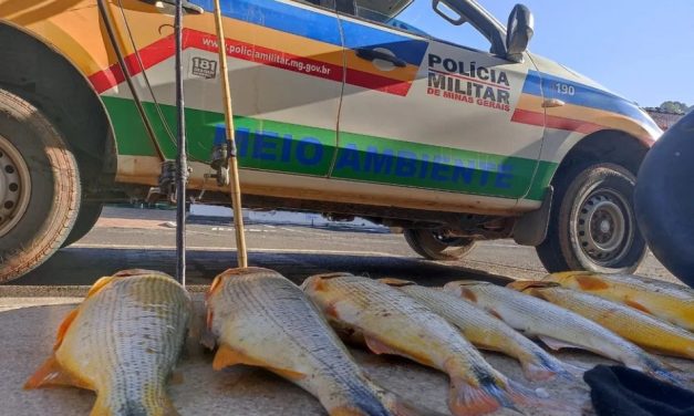 PM realiza operação de combate à pesca em área proibida e apreende 33 quilos de peixe em Perdões