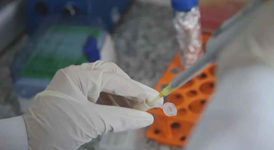 Três projetos mineiros são finalistas do Prêmio Euro de Inovação na Saúde