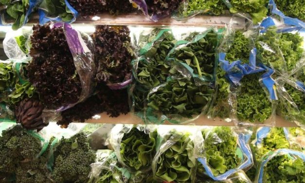 Frio influencia preços de frutas e hortaliças no atacado